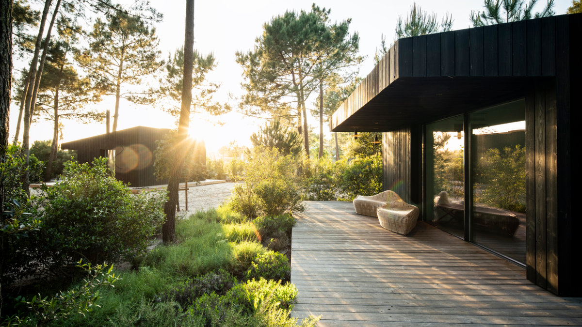 PORTILAME | Wood power, pure living